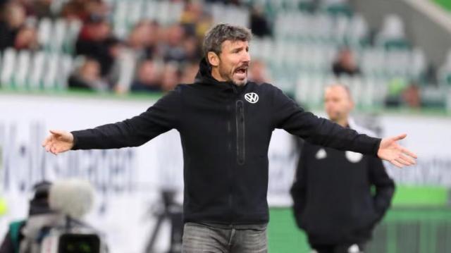 双星56的 双星56的