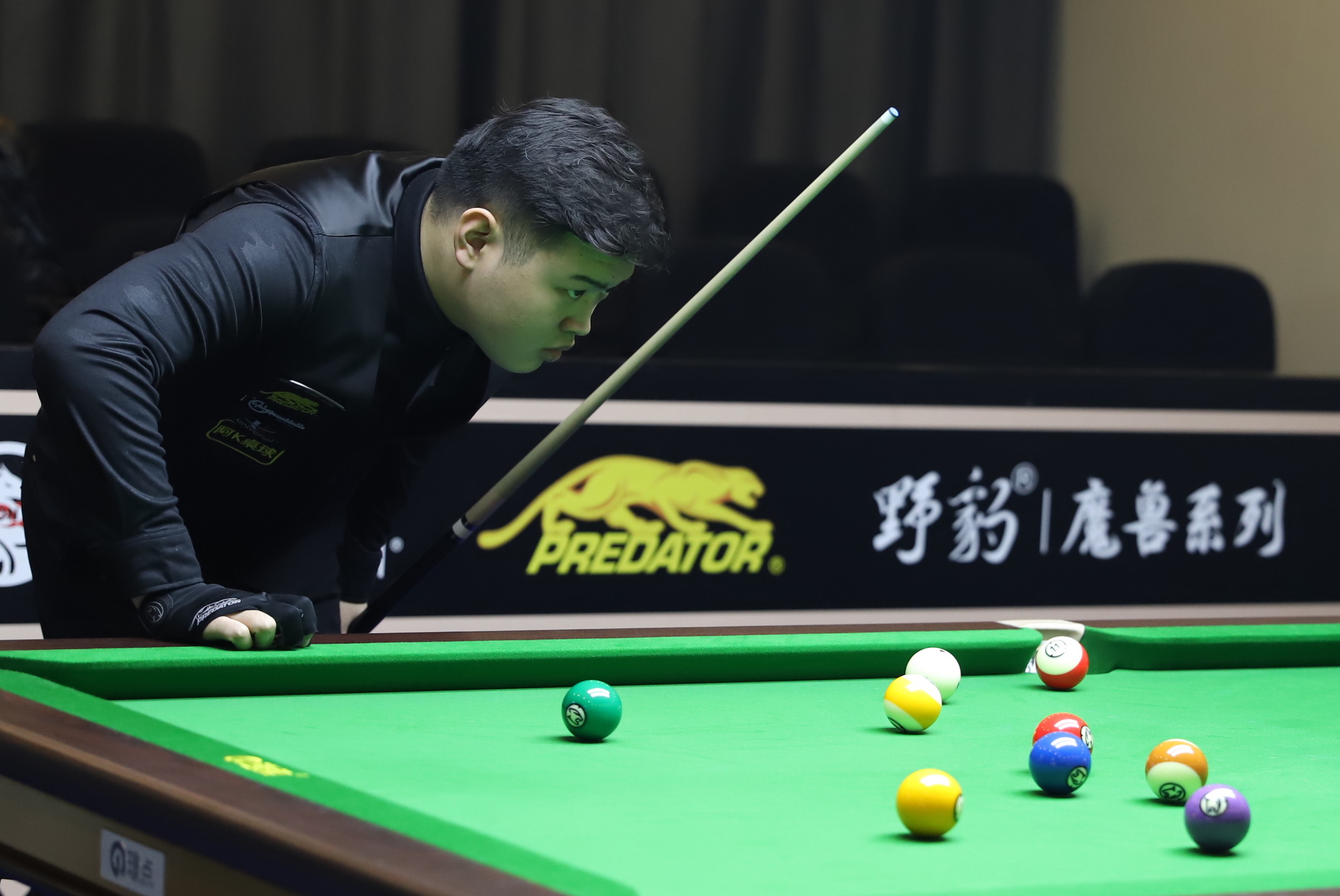 能在未来的 能在未来的