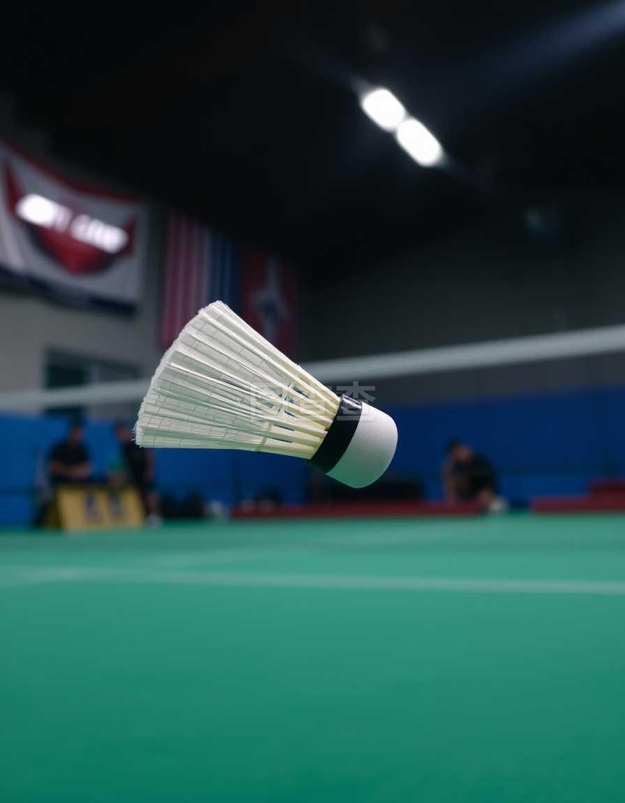 公开赛女单 公开赛女单