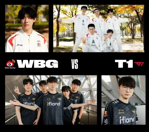 率与转化 率与转化